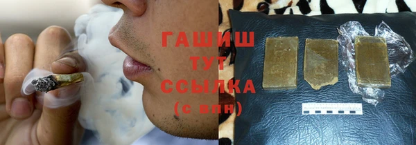 индика Абаза