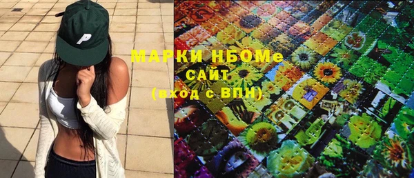 индика Абаза