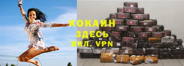 индика Абаза