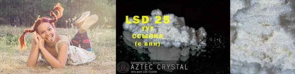 индика Абаза