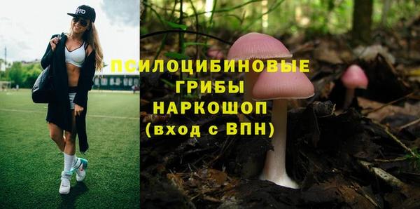 стафф Абинск