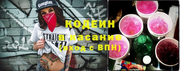 индика Абаза