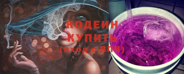 индика Абаза