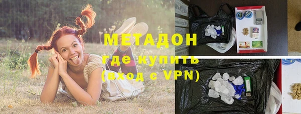 индика Абаза
