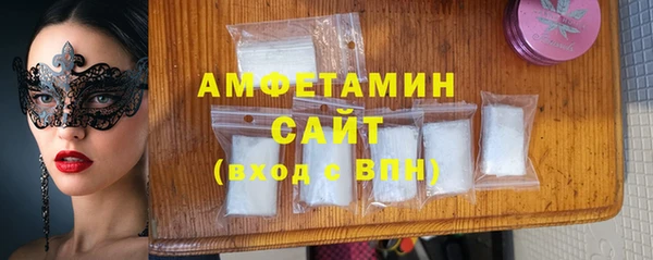 индика Абаза